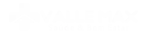 LOGO-VALLE-MAX-HORIZONTAL-BRANCA